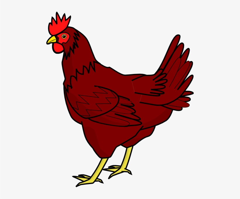 Detail Red Hen Clipart Nomer 2