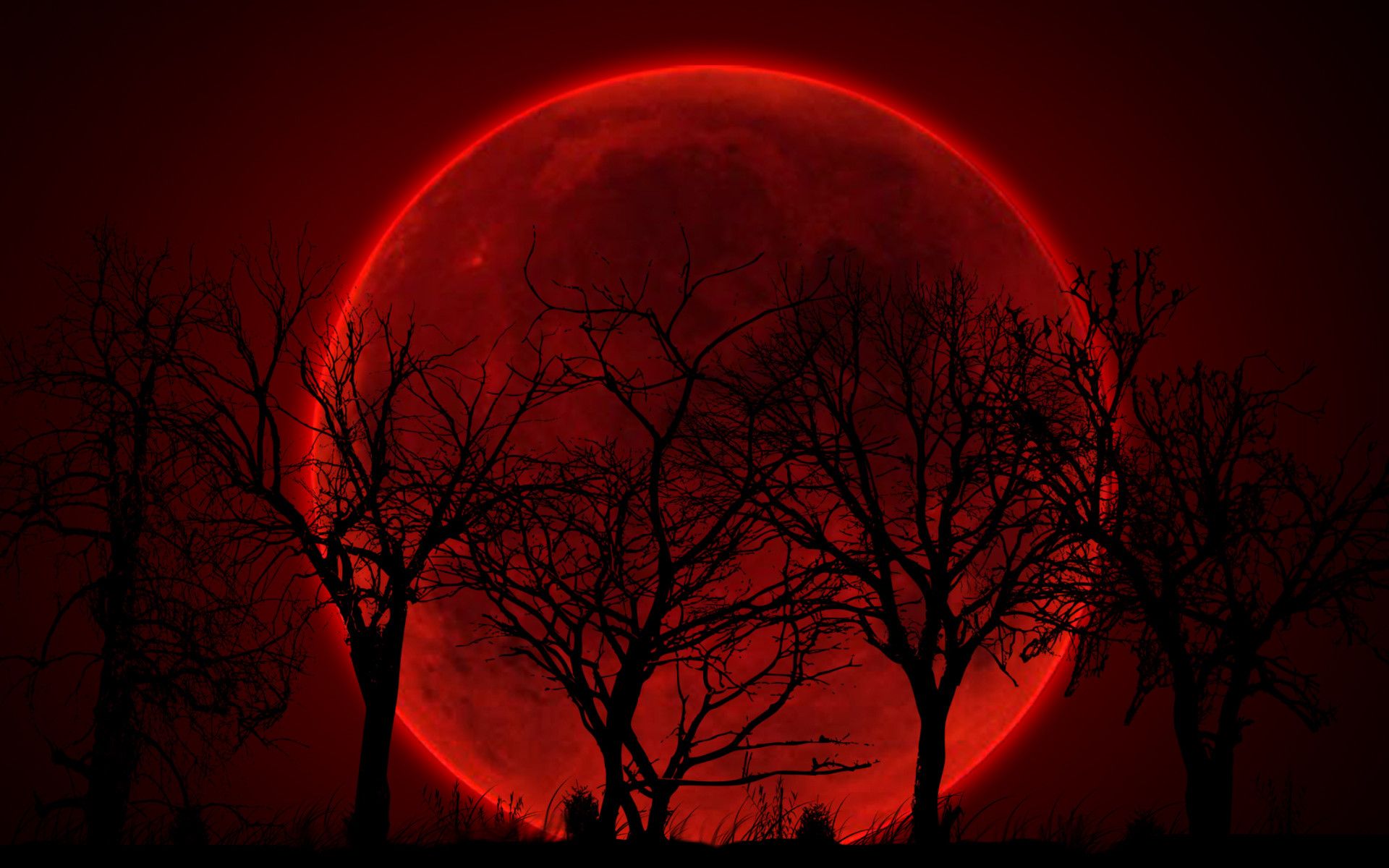 Detail Red Moon Wallpaper Nomer 32