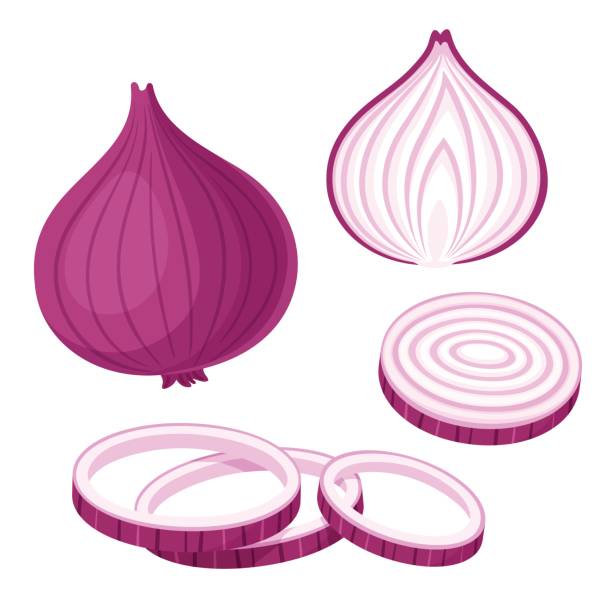 Detail Red Onion Clipart Nomer 8