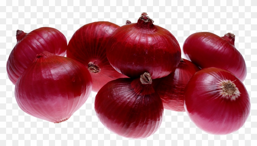 Detail Red Onion Clipart Nomer 22
