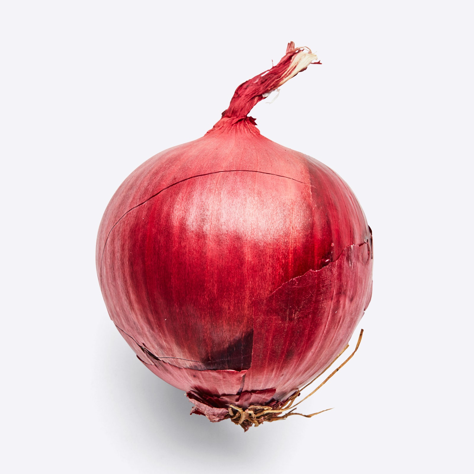 Detail Red Onion Image Nomer 11