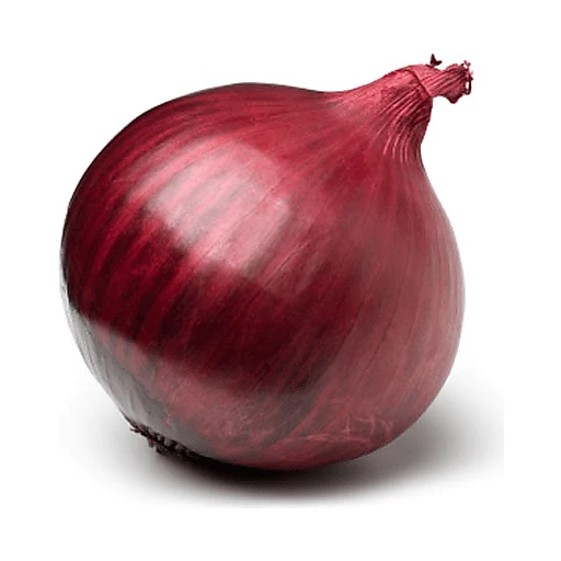 Detail Red Onion Image Nomer 12