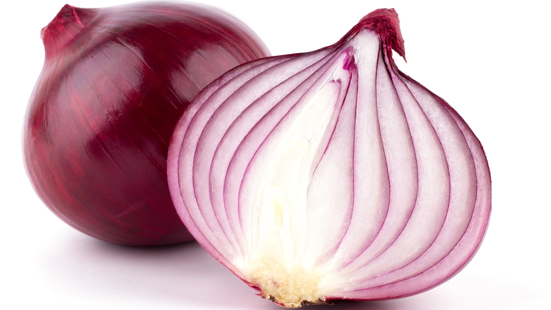 Detail Red Onion Image Nomer 16