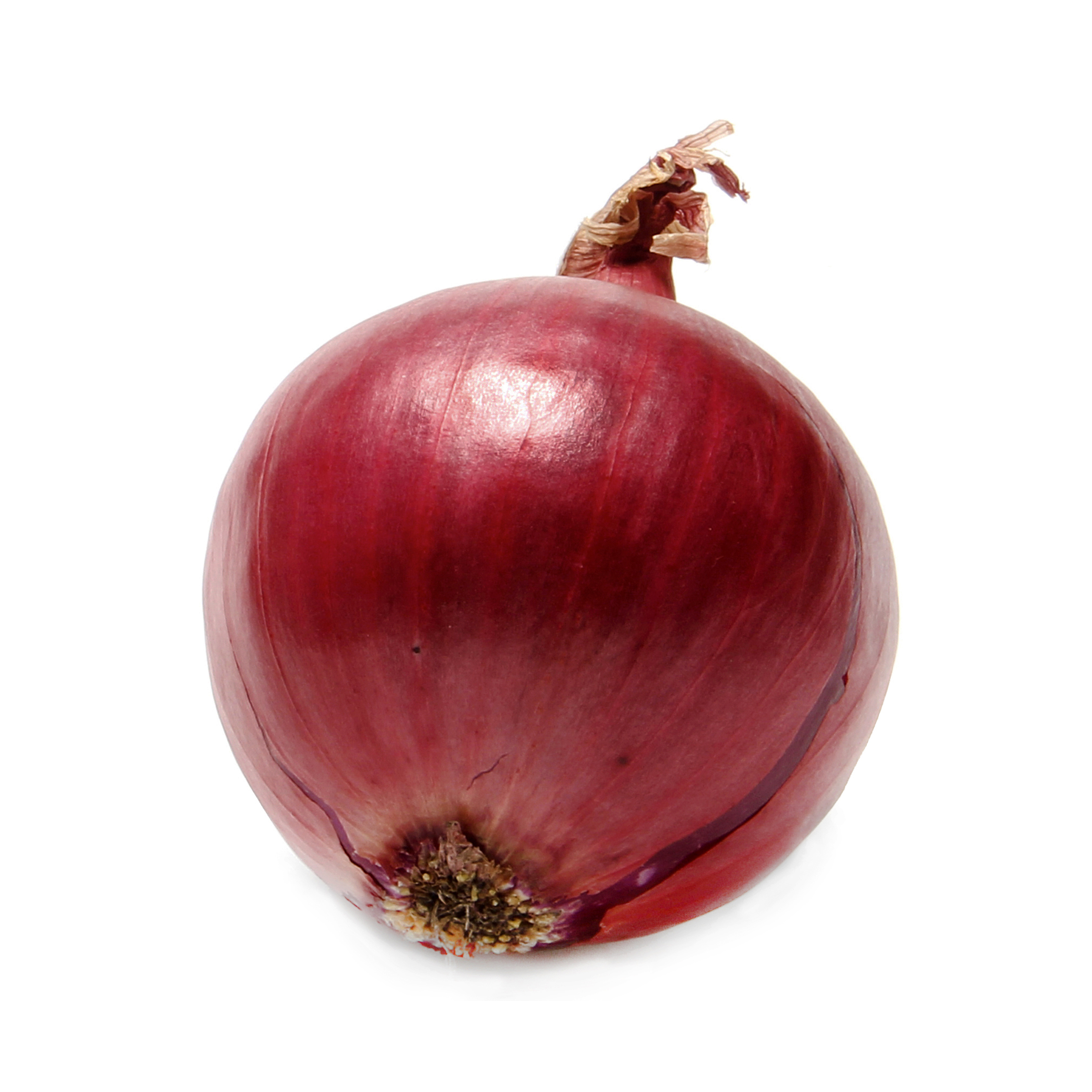 Detail Red Onion Image Nomer 17