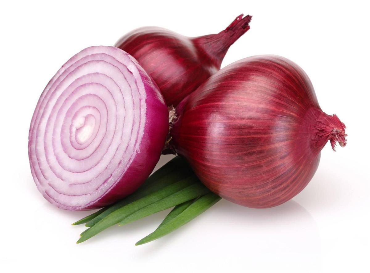Detail Red Onion Image Nomer 19