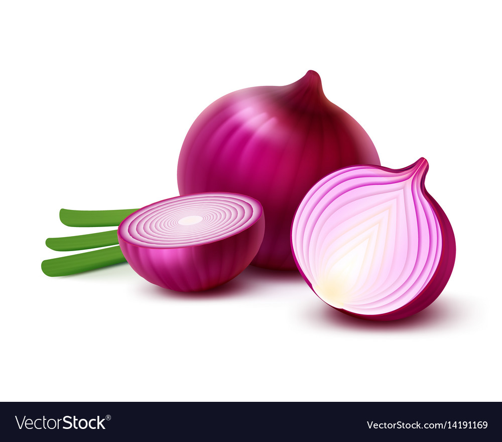Detail Red Onion Image Nomer 21