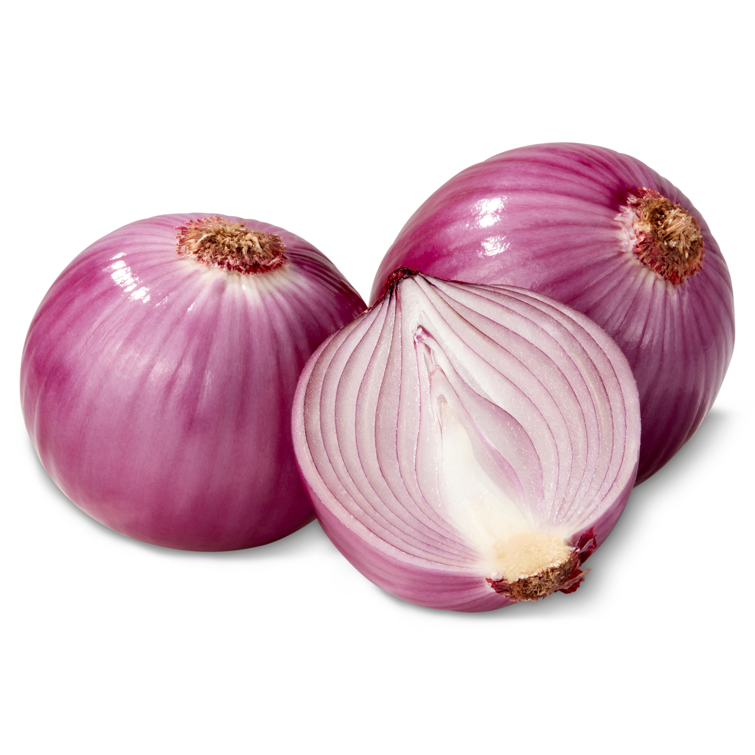 Detail Red Onion Image Nomer 23