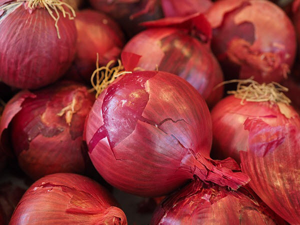Detail Red Onion Image Nomer 28