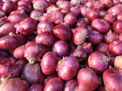 Detail Red Onion Image Nomer 33