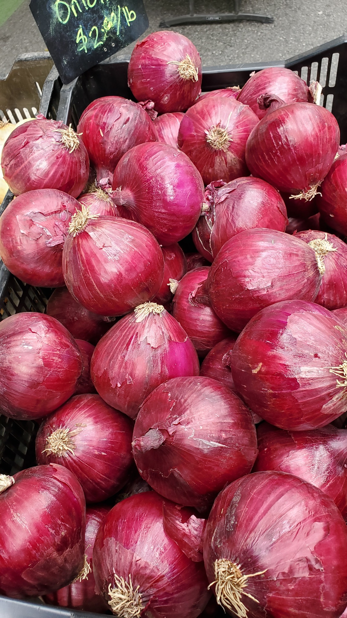 Detail Red Onion Image Nomer 37