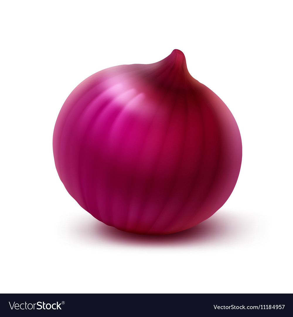 Detail Red Onion Image Nomer 39