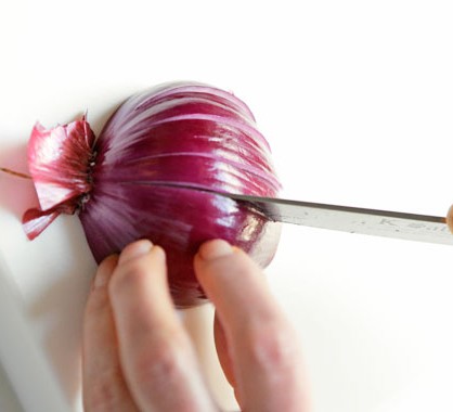 Detail Red Onion Image Nomer 44