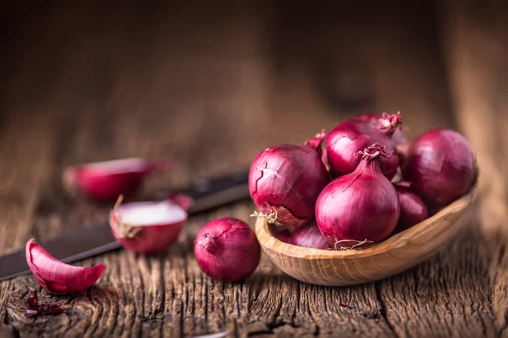 Detail Red Onion Image Nomer 49