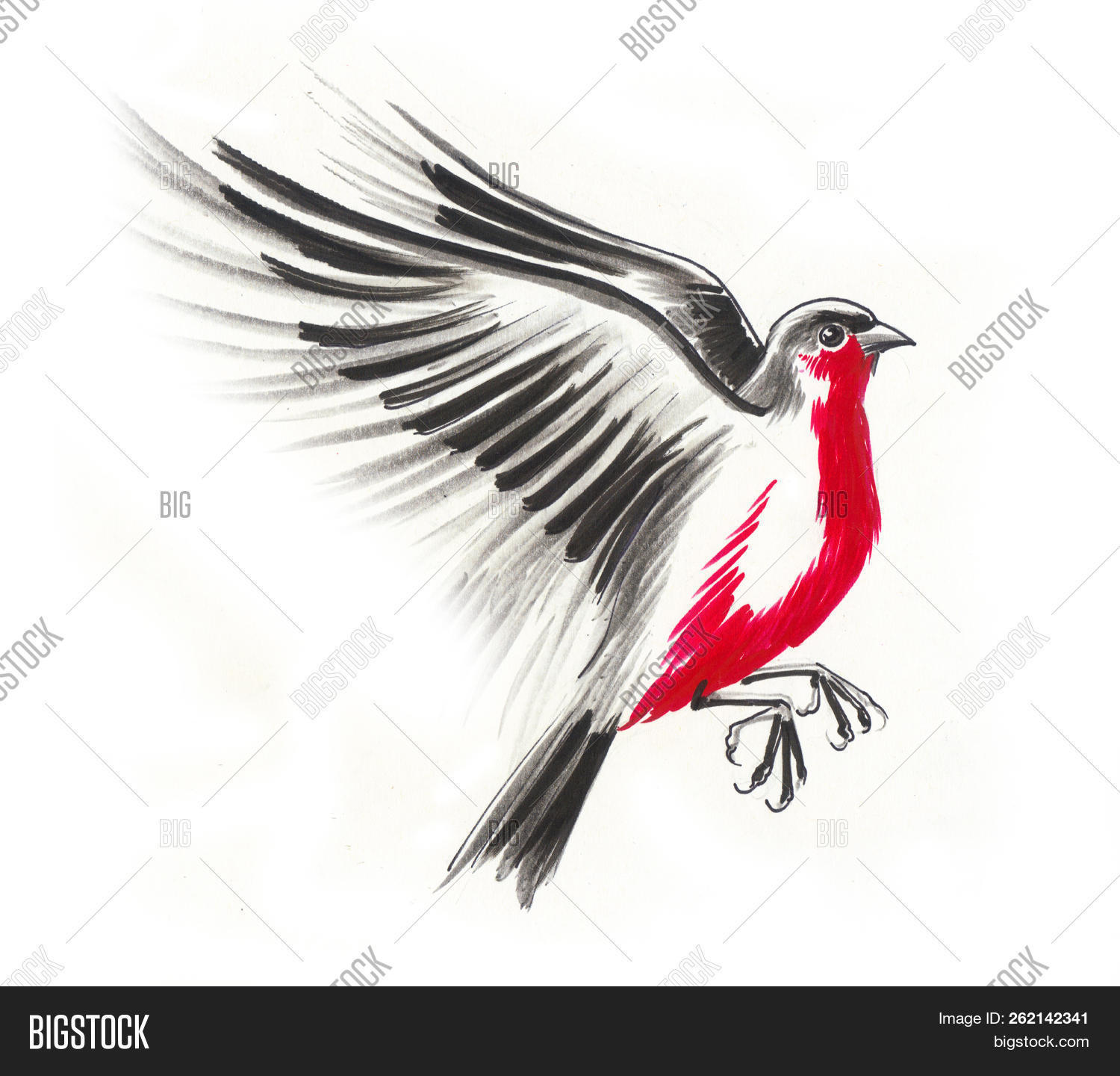 Detail Red Robin Bird Nomer 21