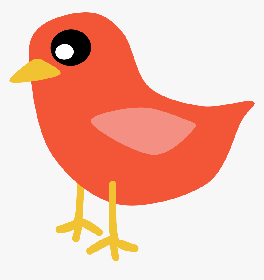 Detail Red Robin Bird Nomer 44