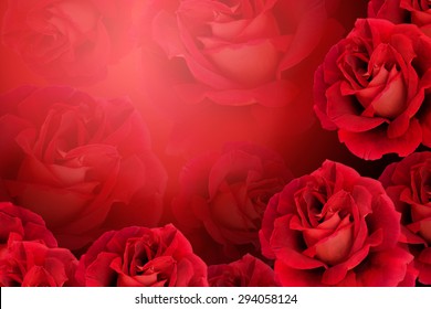 Detail Red Rose Background Nomer 2