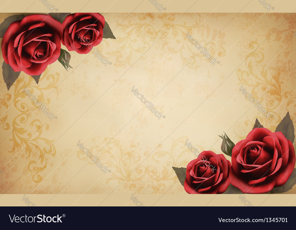 Detail Red Rose Background Nomer 28