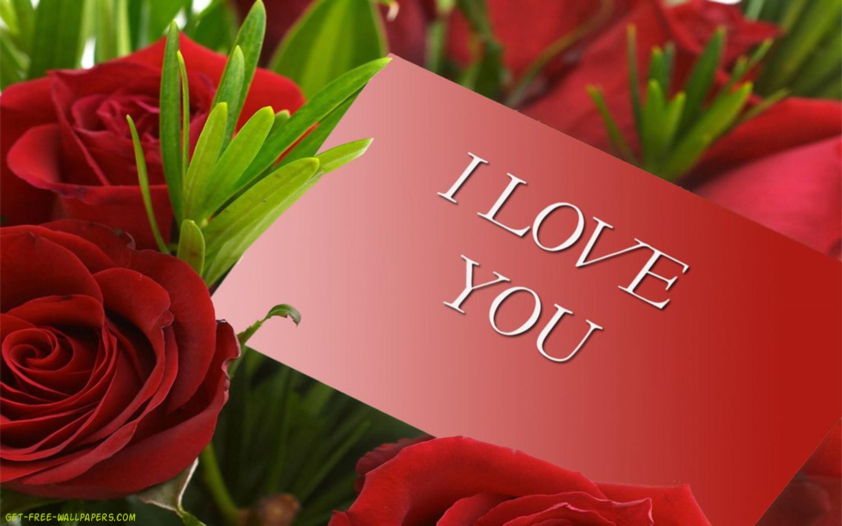 Detail Red Rose Download Nomer 45