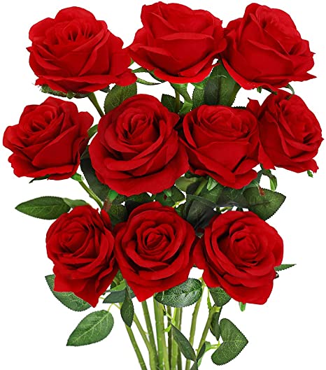 Detail Red Rose Flowers Image Nomer 21