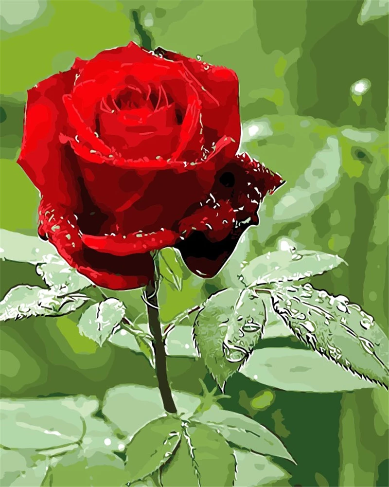 Detail Red Rose Flowers Image Nomer 36