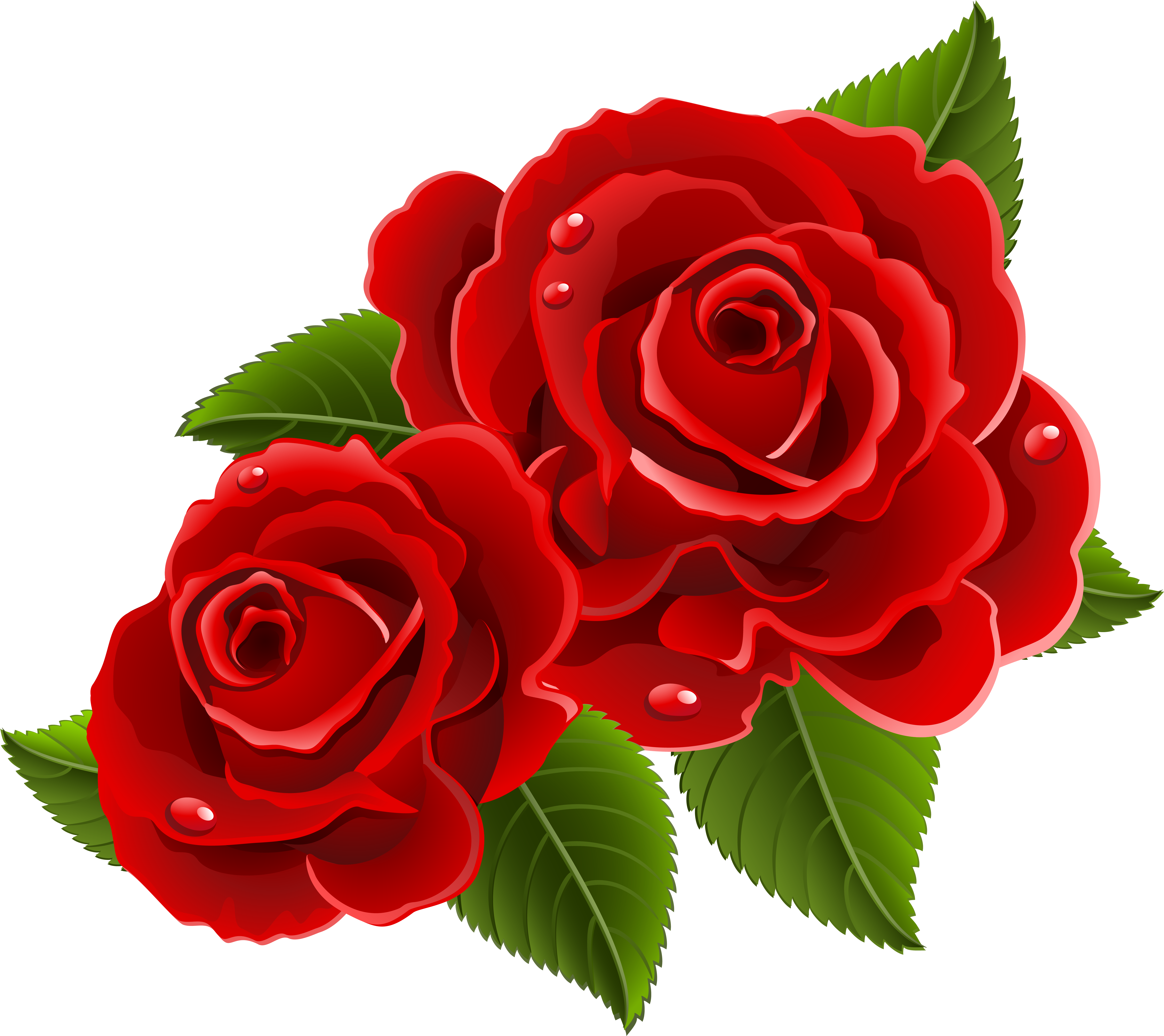 Detail Red Rose Flowers Images Nomer 48