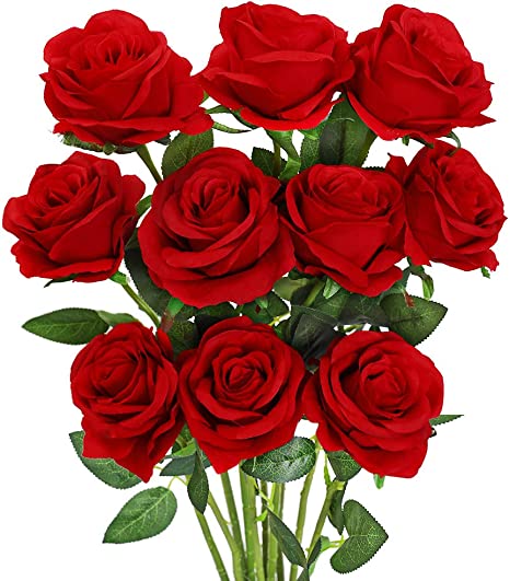 Detail Red Rose Flowers Picture Nomer 23