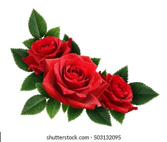 Detail Red Rose Flowers Picture Nomer 43