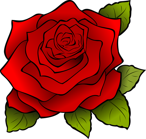 Detail Red Rose Vector Png Nomer 23