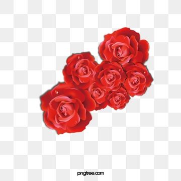 Detail Red Rose Vector Png Nomer 39