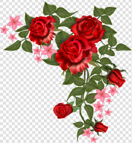 Detail Red Rose Vector Png Nomer 43