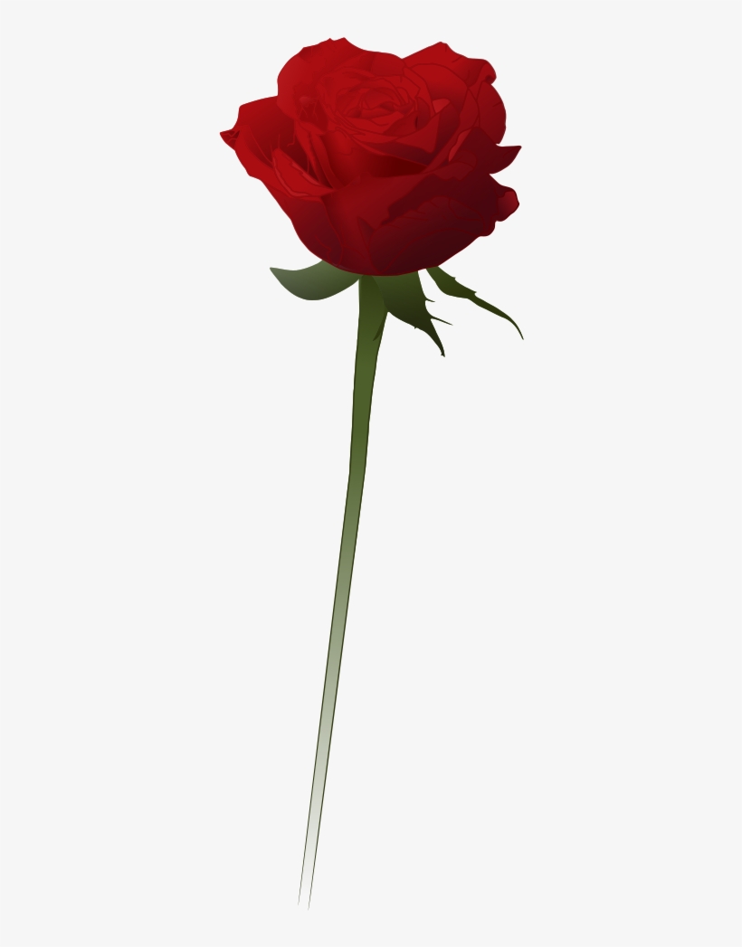 Detail Red Rose Vector Png Nomer 8