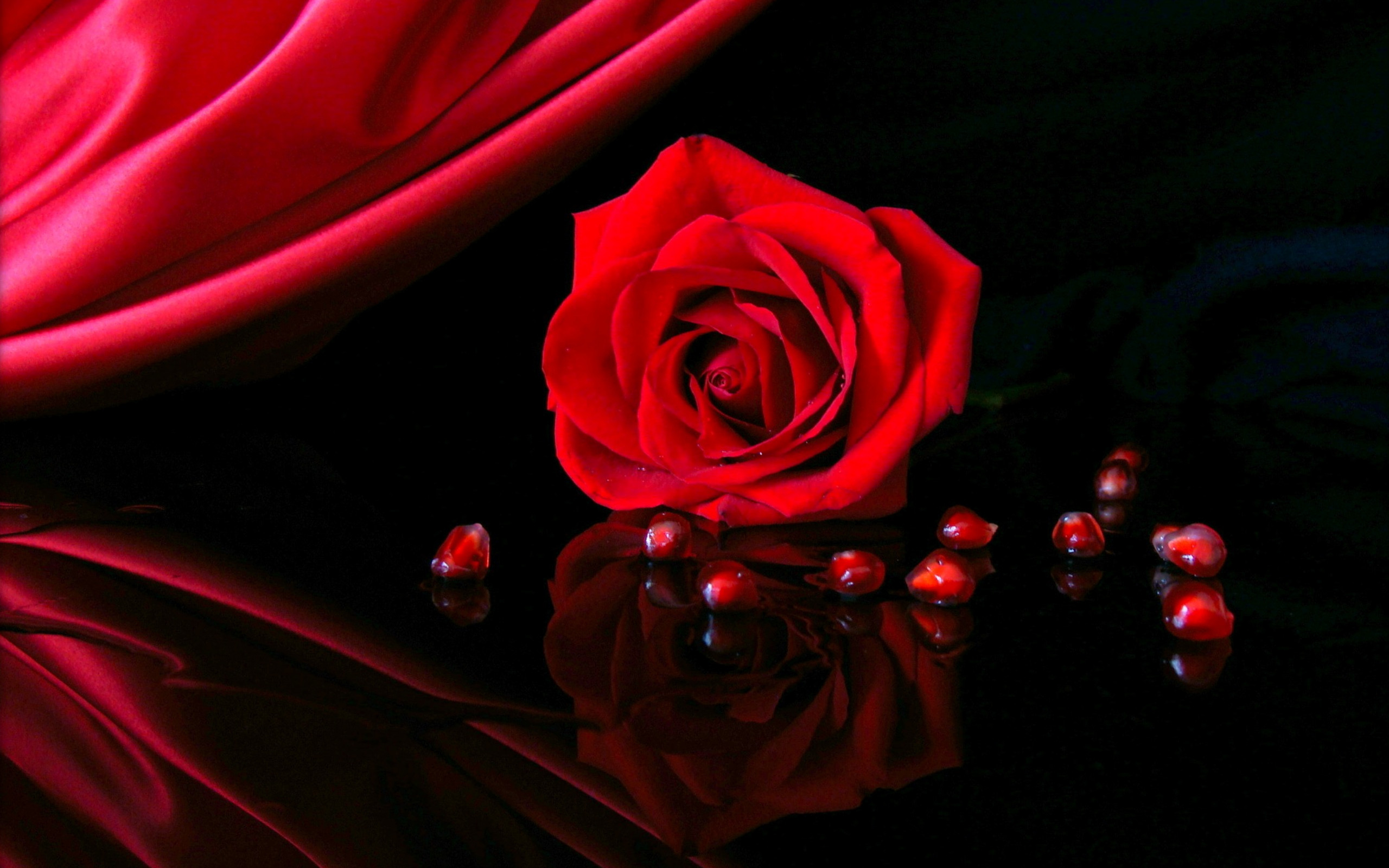 Detail Red Rose Wallpaper Hd Nomer 45