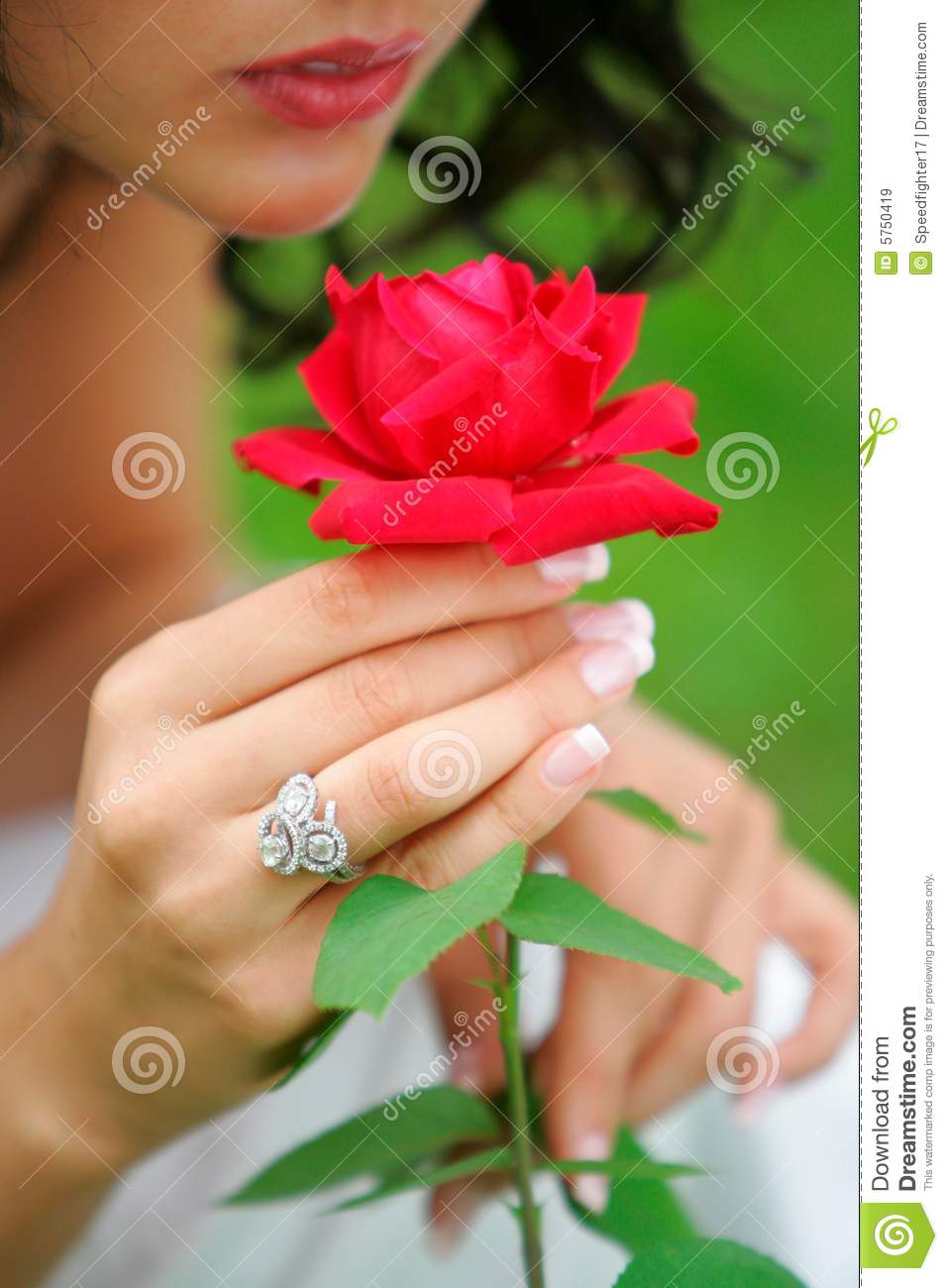 Detail Red Rose Woman Free Download Nomer 6