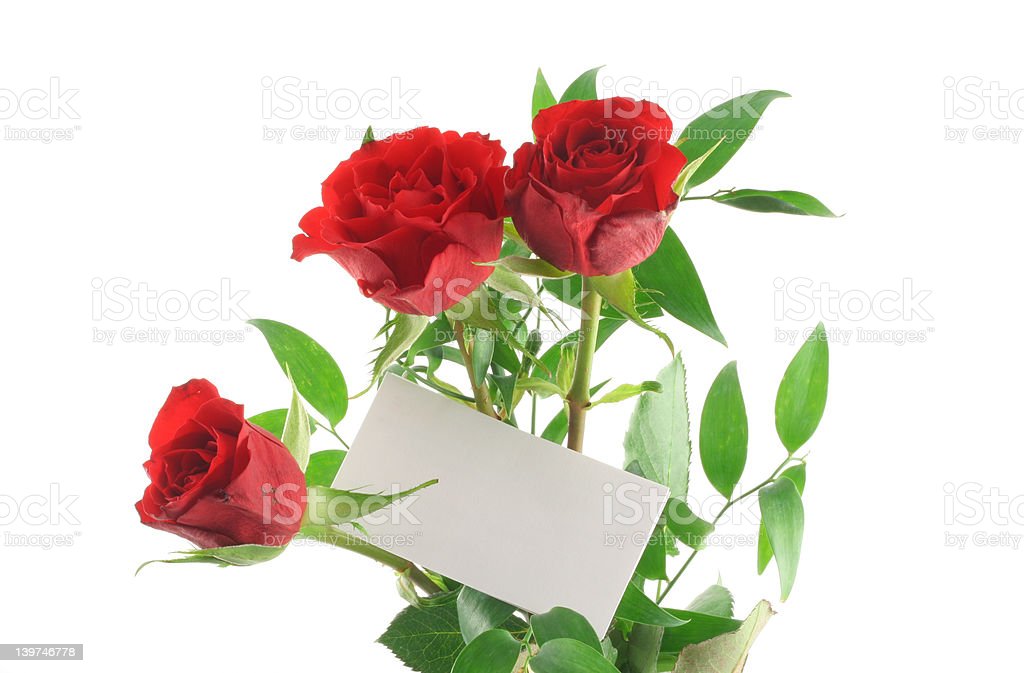 Detail Red Roses Download Nomer 52