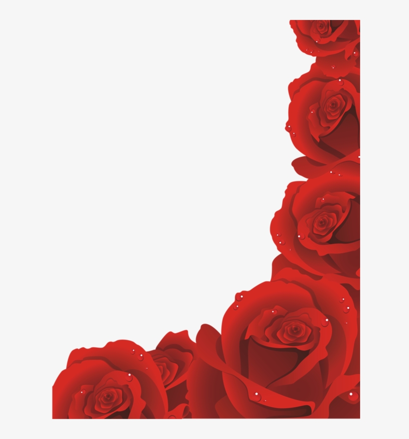 Detail Red Roses Png Nomer 23