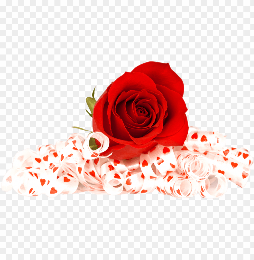 Detail Red Roses Png Nomer 32