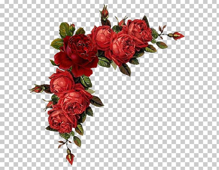 Detail Red Roses Png Nomer 35