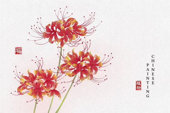 Download Red Spider Lilies Wallpaper Nomer 20