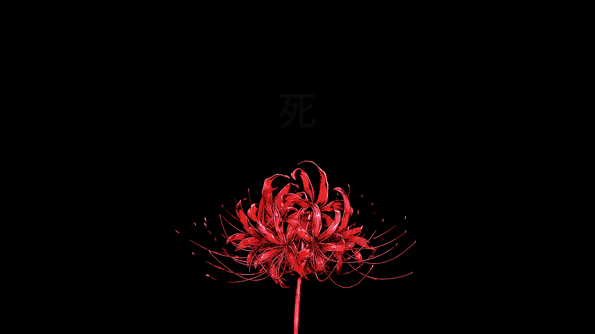 Detail Red Spider Lilies Wallpaper Nomer 4