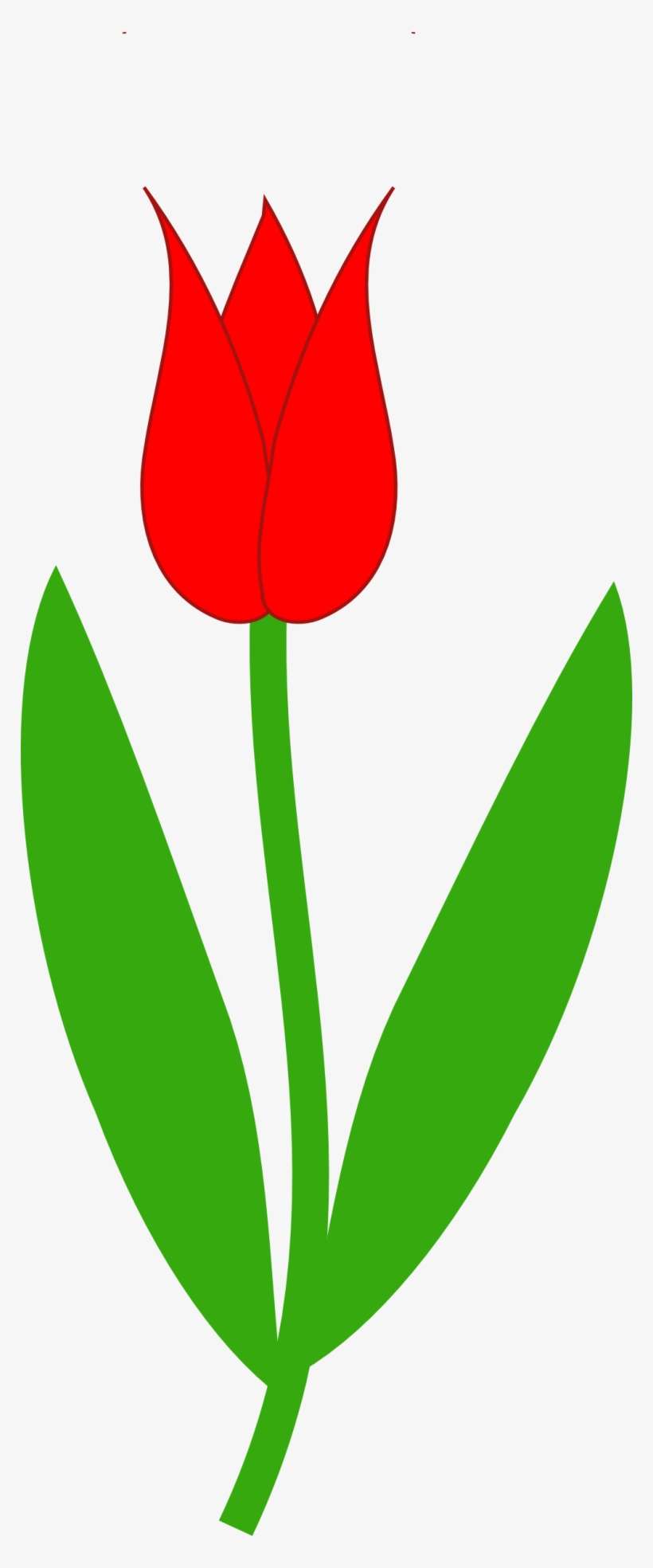 Detail Red Tulip Images Nomer 48