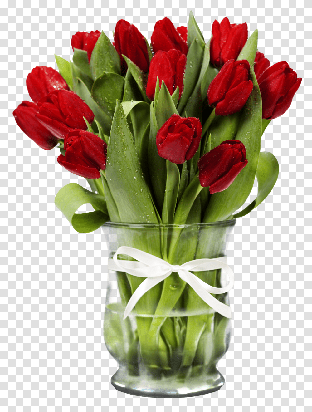 Detail Red Tulip Png Nomer 51