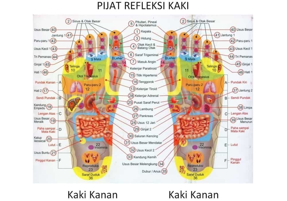 Detail Reflexology Gambar Reflexology Kaki Nomer 10