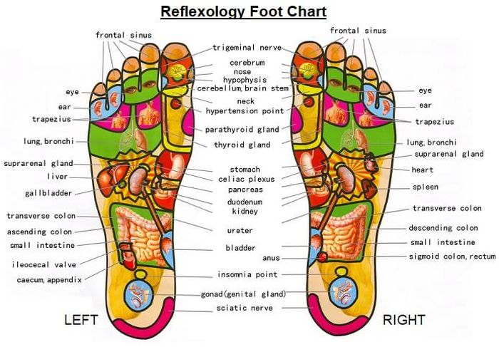 Detail Reflexology Gambar Reflexology Kaki Nomer 3