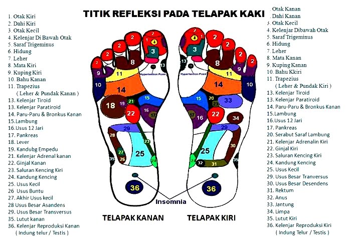 Detail Reflexology Gambar Reflexology Kaki Nomer 27