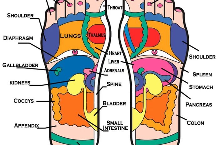 Detail Reflexology Gambar Reflexology Kaki Nomer 5