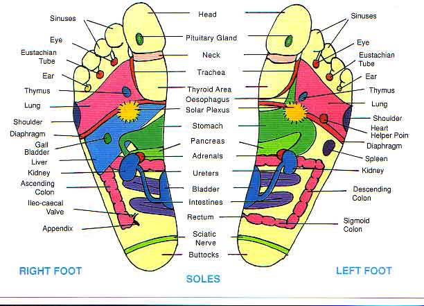 Detail Reflexology Gambar Reflexology Kaki Nomer 46