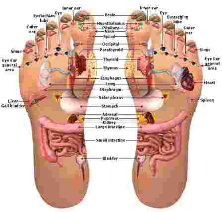 Detail Reflexology Gambar Reflexology Kaki Nomer 6