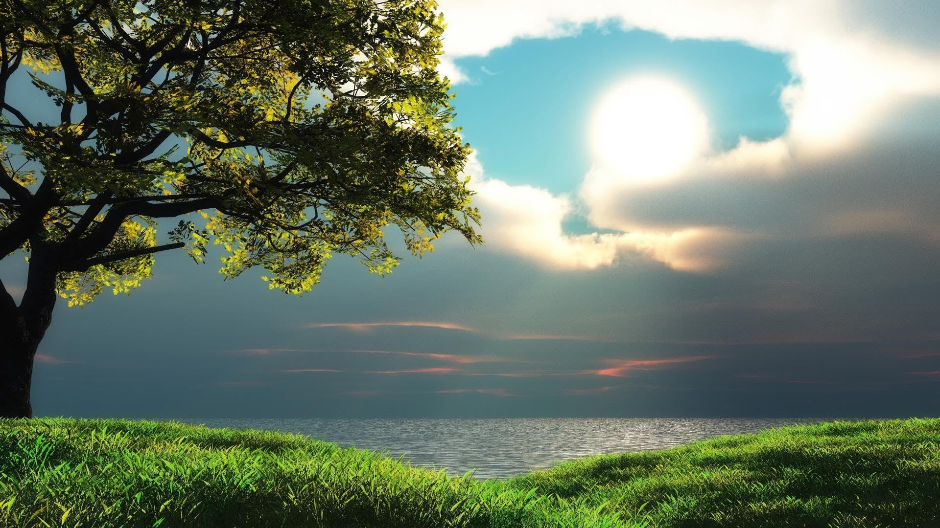 Detail Refreshing Wallpaper Nomer 3