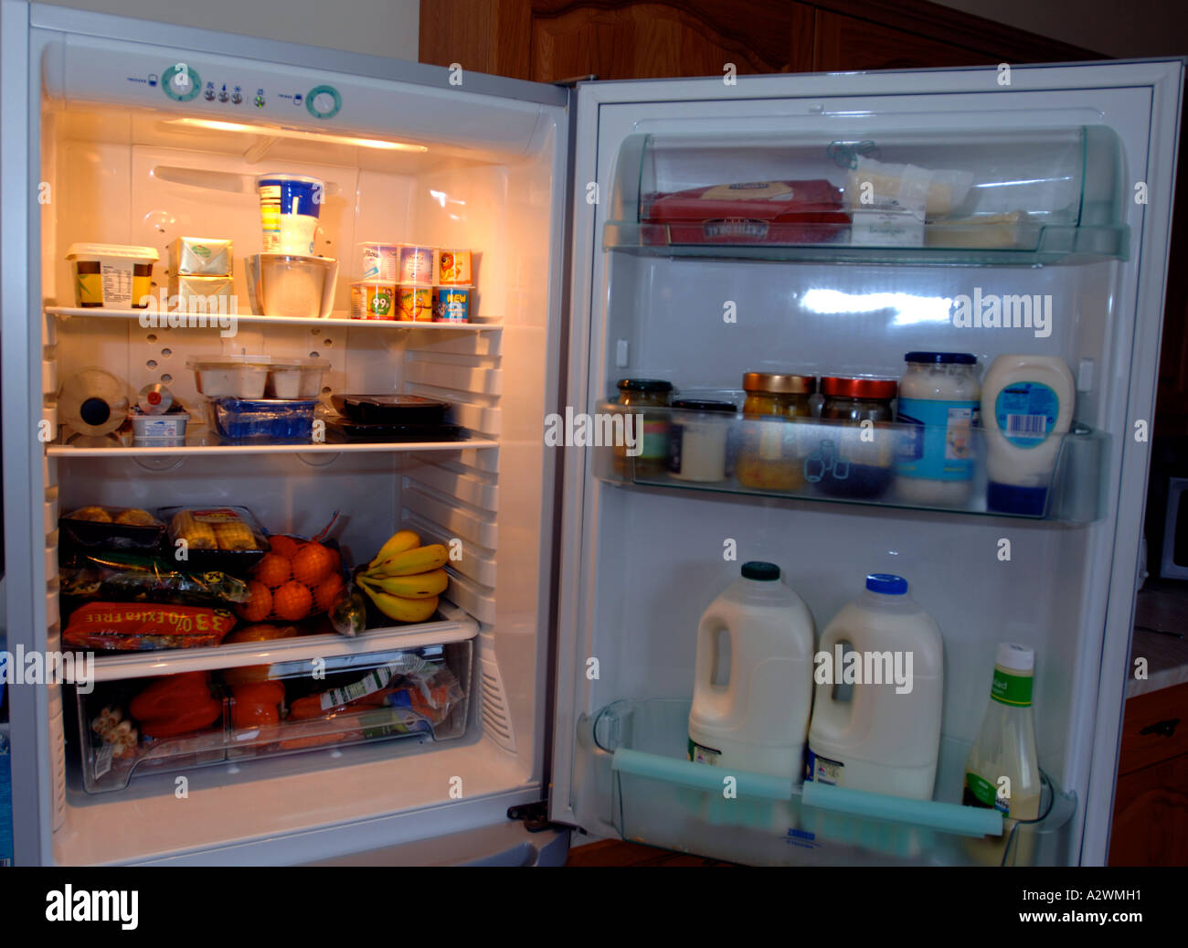 Detail Refridgerator Picture Nomer 3