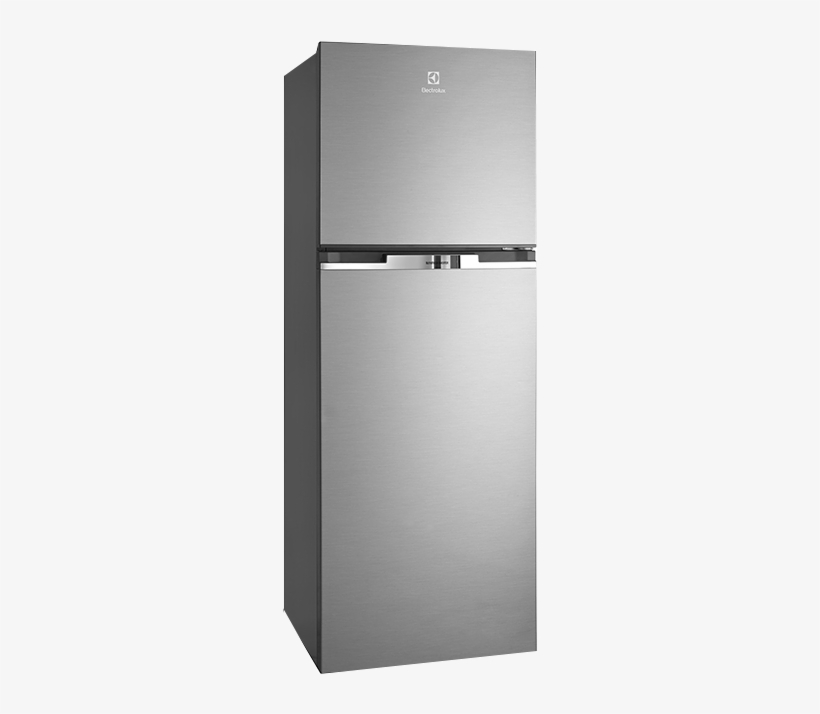 Detail Refridgerator Picture Nomer 6